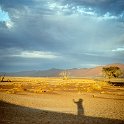 NAM HAR Dune45 2016NOV21 043 : 2016 - African Adventures, Hardap, Namibia, Southern, Africa, Dune 45, 2016, November